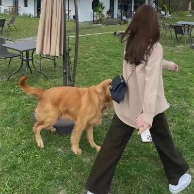 爱在囧途